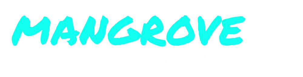 Gestion de Projet Innovant externalisé : 100% opérationnel, 100% d’experts dédiés …