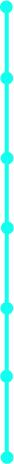 propulsez-votre-entreprise-parcours-mangrove-etapes